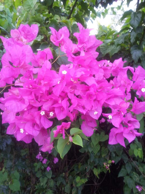 20120715 174704