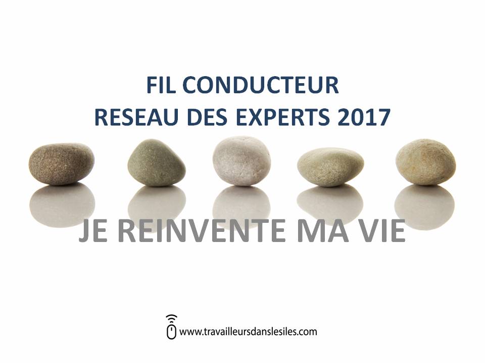 LE RESEAU DES EXPERTS